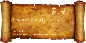 Prasch Antal névjegykártya